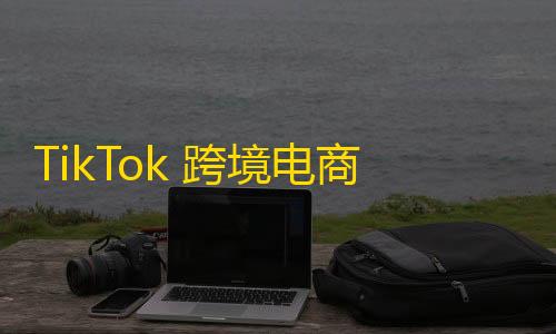 暗区突围科技透视TikTok 跨境电商：运营之道与盈利模式的深度探讨